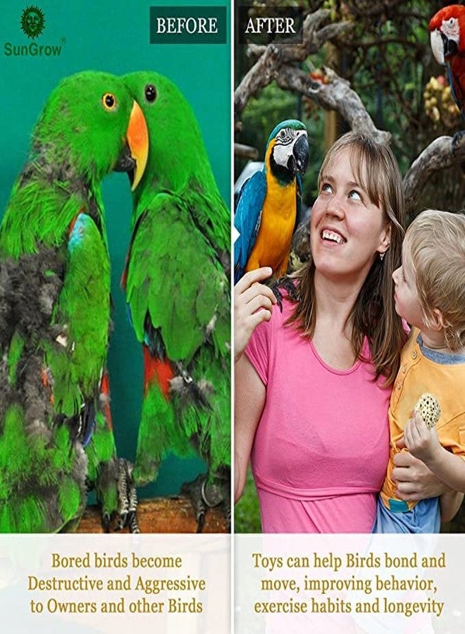 SunGrow Sola Atta Foraging Balls, 2”, White Soft Shred Parrot Chews, Bird Chewing Accessories for Conure, Budgie, Parakeet, Cockatiel, Rabbits, Hamsters, and Other Small Pets, 6 Pcs/Pack - Image 4